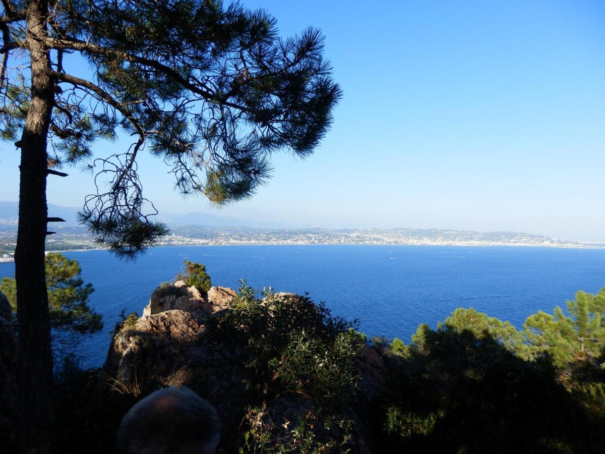 Esterel Terrasses, Roof Top, Plage, Parking Payant Cannes Exterior foto