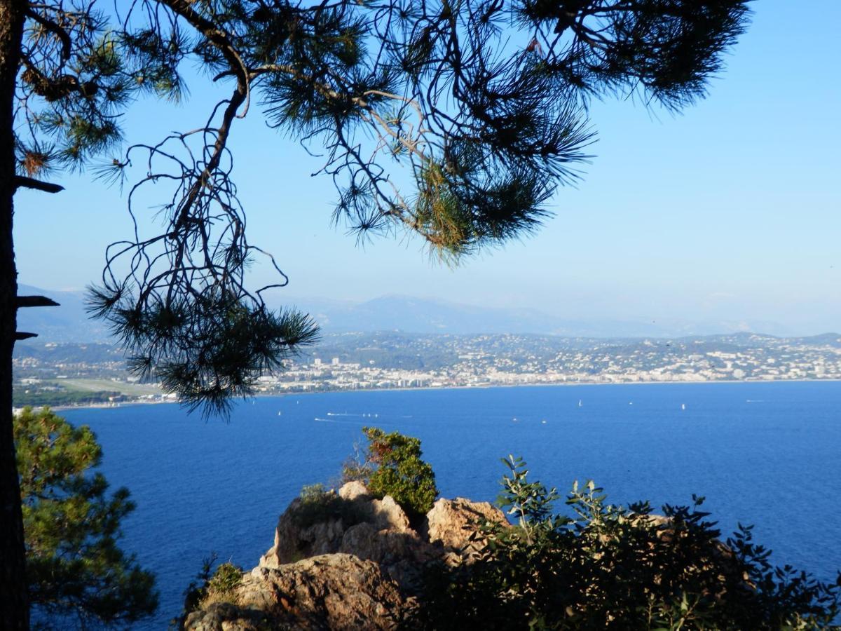 Esterel Terrasses, Roof Top, Plage, Parking Payant Cannes Exterior foto